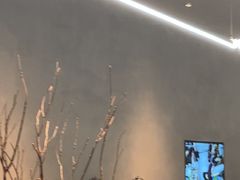 -喜茶(深圳万象城黑金店)