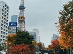 -大通公园