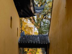 -西园戒幢律寺
