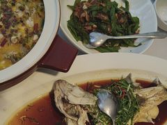 -院里寻菜·精致庭院菜(观沙岭店)