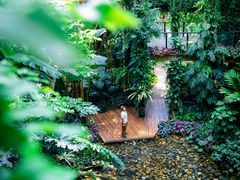 -昆明植物园