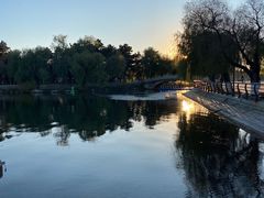 -长春市南湖公园