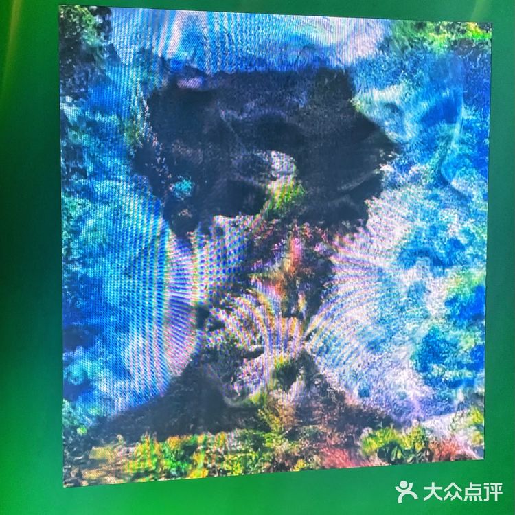 See LV