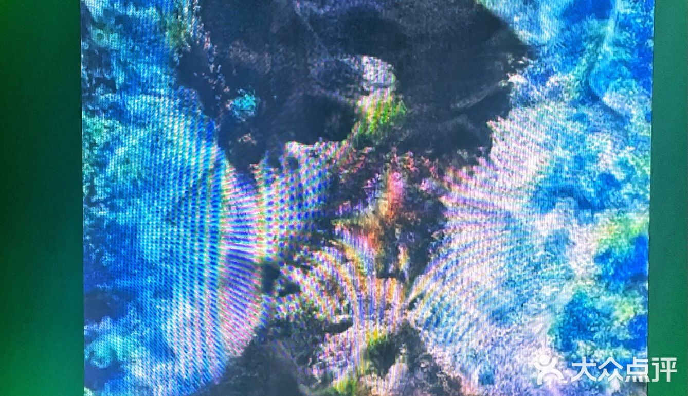 See LV