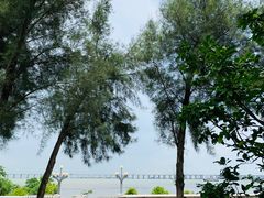 -宝安西湾红树林湿地公园