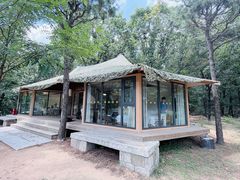 -东海森林温泉度假酒店