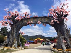 -天适樱花悠乐园