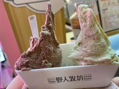 -野人先生现做冰淇淋(西安赛格店)