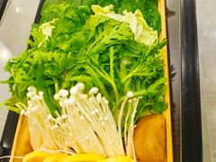 -蝎王府羊蝎子(西直门店)