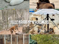 -济南野生动物世界