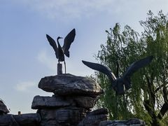 -长春市南湖公园