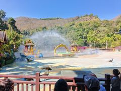-西双版纳原始森林公园
