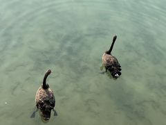 -颐和园