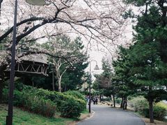 -台场海滨公园船码头