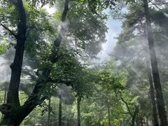 -洛阳白云山景区