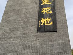 -莲花池公园
