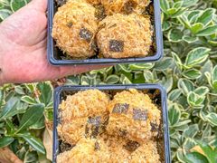 -花园饼屋·吐司蛋糕面包(星海店)