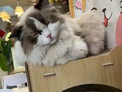 -小时光咖啡馆(北锣鼓巷店)
