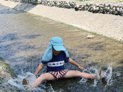 -白水寺森林公园