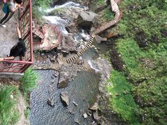 -旗山国家森林公园