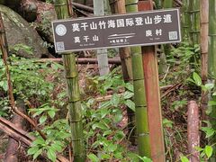 -莫干山风景区