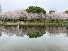 -堤角公园