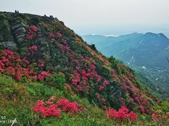 -木兰云雾山