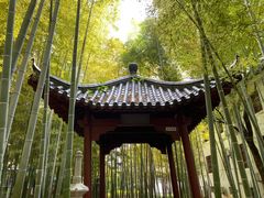 -绳金塔