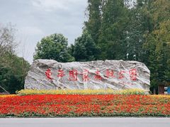 -东平国家森林公园