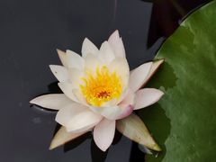 -长广溪湿地公园