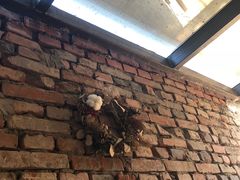 -VOYAGE COFFEE(北锣鼓巷店)