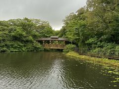 -济州森林小火车生态公园