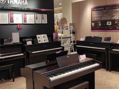 -雅歌音乐培训中心·钢琴培训·乐器培训(交道口店)