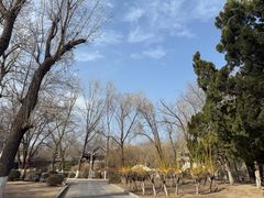-桃花堤公园