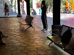 -将军关探险漂流