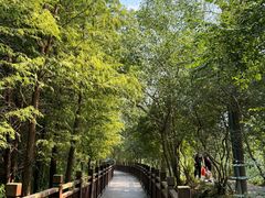 -溱湖国家湿地公园