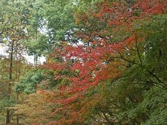 -共青国家森林公园-售票处