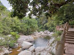 -海南热带雨林国家公园吊罗山景区