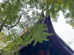 -灵隐飞来峰景区