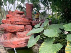 -兴芮温泉度假区