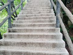 -王顺山国家森林公园