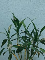 -香秀空间科技抗衰·美容中心