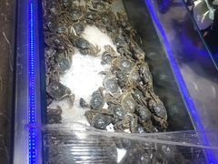 -欢乐牧场海鲜烤肉自助(牡丹园店)