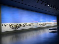 -罗红摄影艺术馆