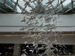 -中国湿地博物馆