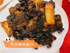 -凯鸽酒楼(操场城店)