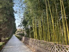 -春晖园度假酒店温泉