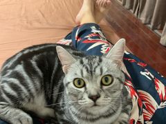 -袖虎·猫馆(体育西路店)