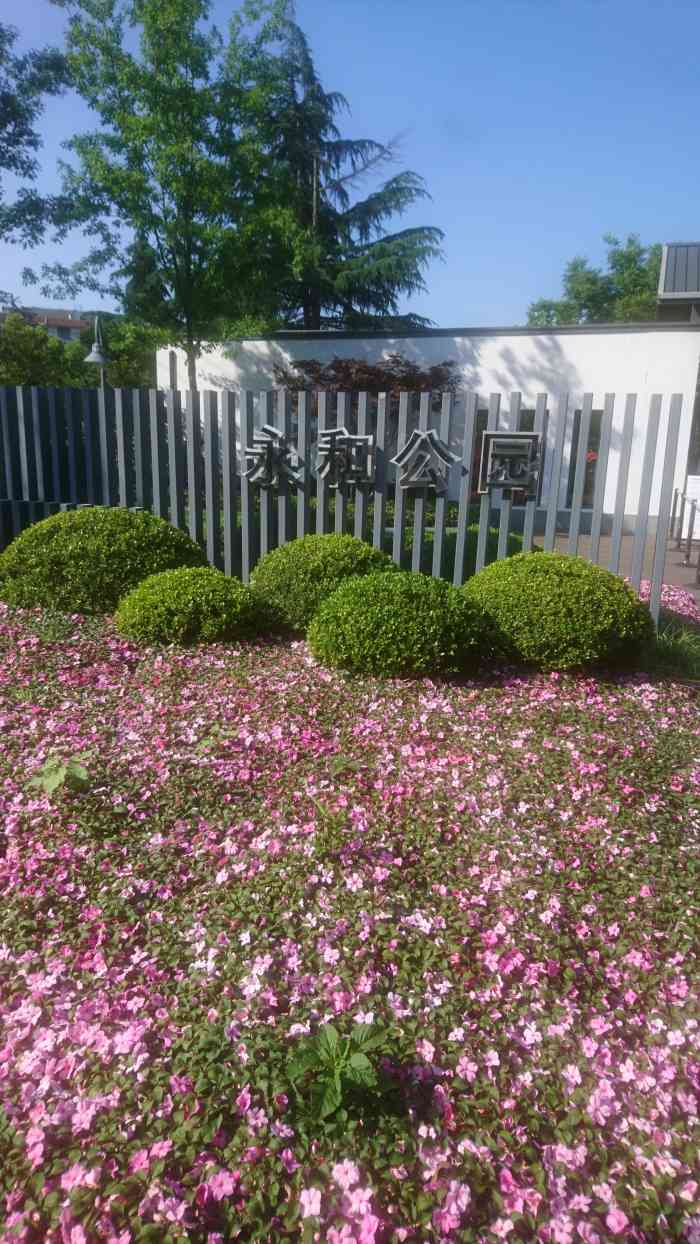 永和公园-"汶水路高架旁边,虽然不大,但难得一块绿地.