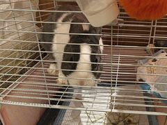 -大象厨房(重庆道店)